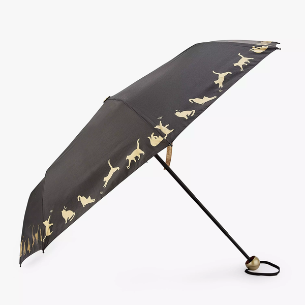 Foldable umbrella